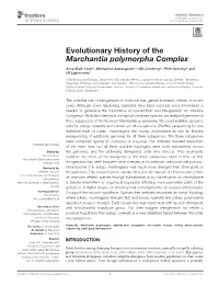Evolutionary History of the Marchantia Polymorpha Complex
