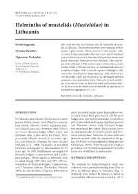 Helminths of Mustelids (Mustelidae) in Lithuania