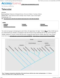 Phylogeny Classification Additional Readings Clupeomorpha and Ostariophysi