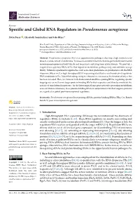 Specific and Global RNA Regulators in Pseudomonas Aeruginosa