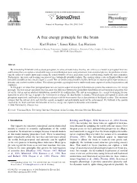 A Free Energy Principle for the Brain