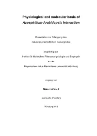 Physiological and Molecular Basis of Azospirillum-Arabidopsis Interaction