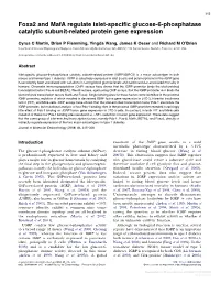 Foxa2 and Mafa Regulate Islet-Specific Glucose-6
