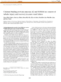 Calcium-Binding Proteins Annexin A2 and S100A6 Are Sensors of Tubular Injury and Recovery in Acute Renal Failure