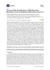 Genome-Wide Identification of NBS-Encoding Resistance
