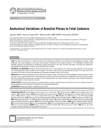 Anatomical Variations of Brachial Plexus in Fetal Cadavers