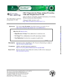 Cells and Marginal Zone B Cells CD1.1 Expression by Mouse Antigen-Presenting