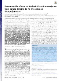Genome-Wide Effects on Escherichia Coli Transcription from Ppgpp Binding to Its Two Sites on RNA Polymerase
