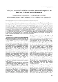 Period Gene Expression in Relation to Seasonality and Circadian Rhythms in the Linden Bug, Pyrrhocoris Apterus