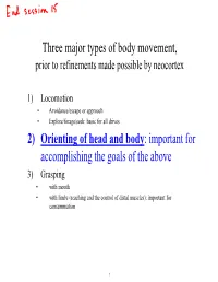 Descending Pathways and Evolution Notes