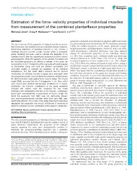 Estimation of the Force–Velocity Properties of Individual Muscles from Measurement of the Combined Plantarflexor Properties Mehrdad Javidi1, Craig P