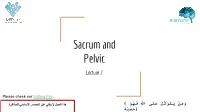 Sacrum and Pelvic Lecture 7