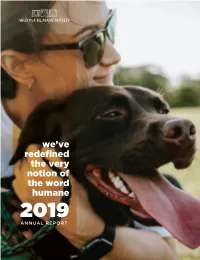 2019 Impact Report
