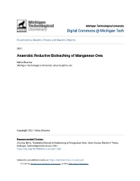 Anaerobic Reductive Bioleaching of Manganese Ores
