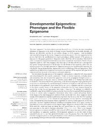 Developmental Epigenetics: Phenotype and the Flexible Epigenome