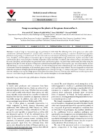 Fungi Occurring on the Plants of the Genus Amaranthus L