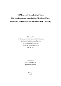 (Neanderthal) Men: the Small Mammal Record of the Middle to Upper Paleolithic Transition in the Swabian Jura, Germany