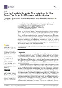 New Insights on the Main Factors That Guide Seed Dormancy and Germination