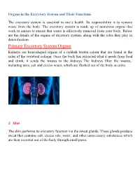 Primary Excretory System Organs Kidneys Are Bean-Shaped Organs of a Reddish Brown Colour That Are Found in the Sides of the Vertebral Column
