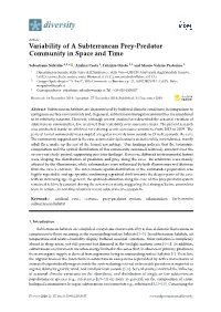 Variability of a Subterranean Prey-Predator Community in Space and Time