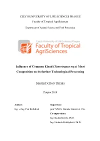 Influence of Common Eland (Taurotragus Oryx) Meat Composition on Its Further Technological Processing
