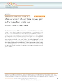 Measurement of Cochlear Power Gain in the Sensitive Gerbil Ear