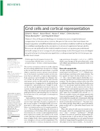 Grid Cells and Cortical Representation