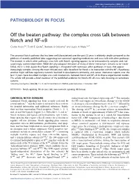 Off the Beaten Pathway: the Complex Cross Talk Between Notch and NF-Kb Clodia Osipo1,2, Todd E Golde3, Barbara a Osborne4 and Lucio a Miele1,2,5