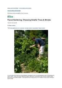 Forest Gardening: Choosing Smaller Trees & Shrubs