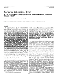 The Neuronal Endomembrane System III