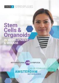 Amsterdamprogram2019 022019.Pdf