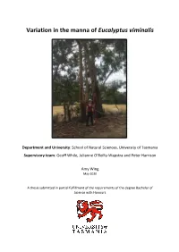 Variation in the Manna of Eucalyptus Viminalis