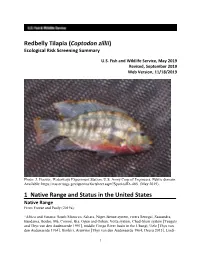 Coptodon Zillii (Redbelly Tilapia) Ecological Risk Screening Summary