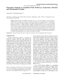 Potassium Channels in Peripheral Pain Pathways: Expression, Function and Therapeutic Potential