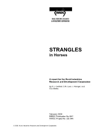STRANGLES in Horses