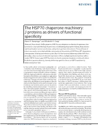 The HSP70 Chaperone Machinery: J Proteins As Drivers of Functional Specificity