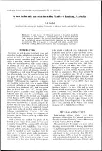 Adec Preview Generated PDF File