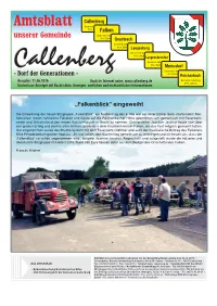 Amtsblatt Unserer Gemeinde Callenberg – 11