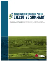 Bakken Production Optimization Program Executive Summary Years