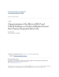 Characterization of the Effects of Bfgf and Gsk3β Inhibitors on Embryoid