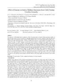 Effect of Seasons on Enteric Methane Emissions from Cattle Grazing Urochloa Brizantha