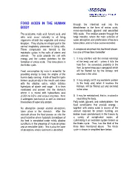 FOOD ACIDS in the HUMAN BODY and Krebs Cycle