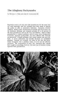 The Allegheny Pachysandra by MICHAEL A