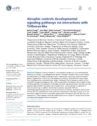 Atrophin Controls Developmental Signaling Pathways Via Interactions