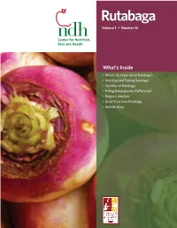 Rutabaga Volume 1 • Number 12
