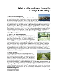 What Are the Problems Facing the Chicago River Today?