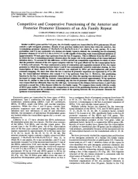 Competitive and Cooperative Functioningof the Anterior And