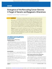 Emergence of the Noncoding Cancer Genome: a Target of Genetic and Epigenetic Alterations