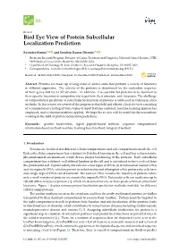 Bird Eye View of Protein Subcellular Localization Prediction