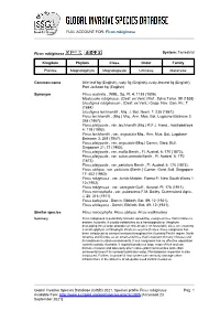 FULL ACCOUNT FOR: Ficus Rubiginosa Global Invasive Species Database (GISD) 2021. Species Profile Ficus Rubiginosa. Available